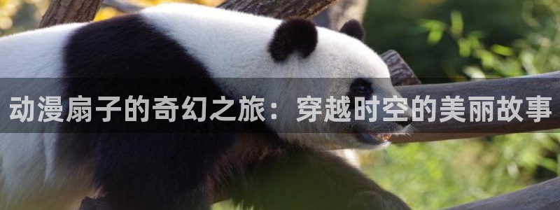 omofun动漫下载最新：动漫扇子的奇幻之旅：穿越时空的美丽故事